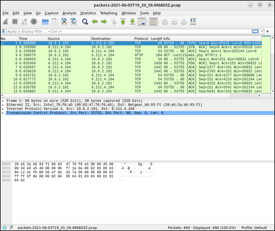 The extracted flow opened for packet-level inspection