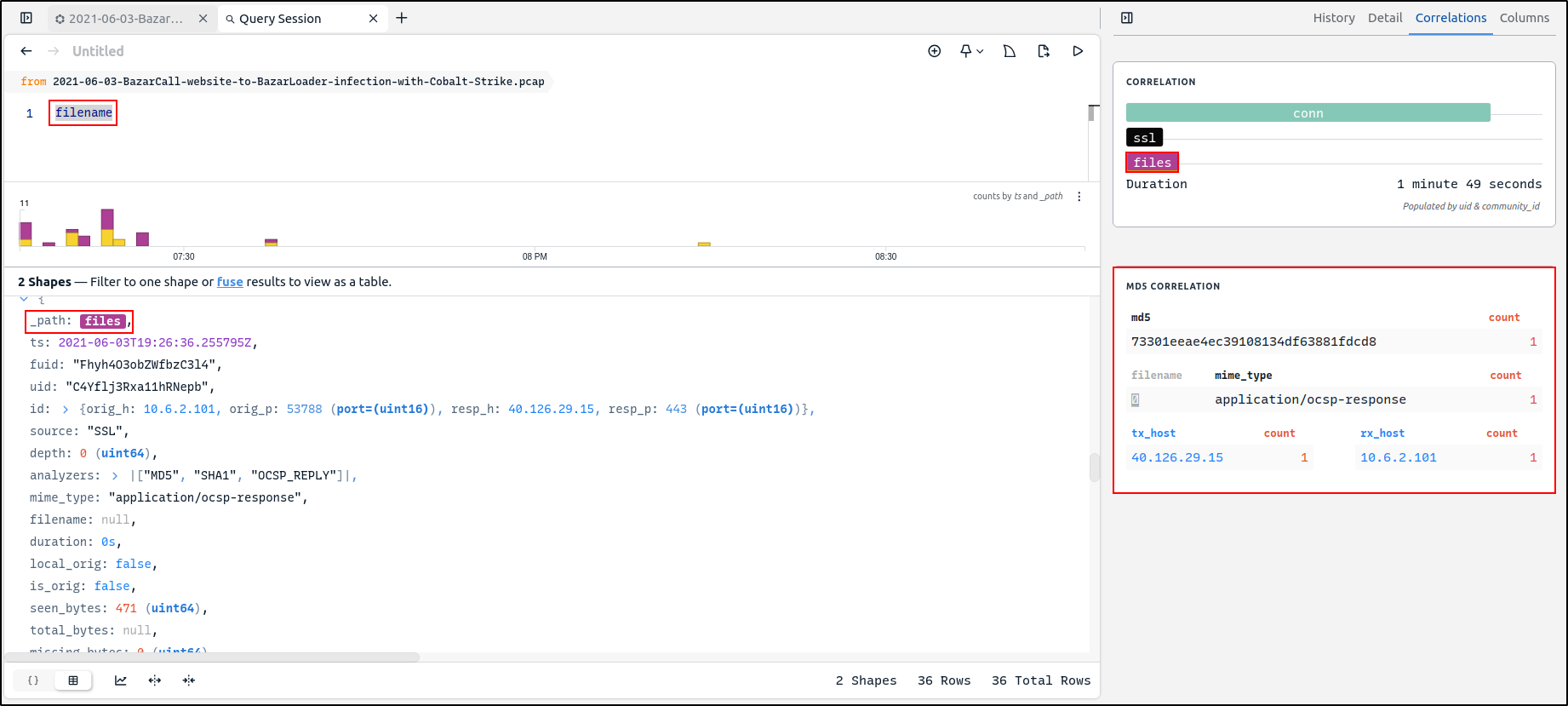 File hash and occurrence information in the Zui Detail pane